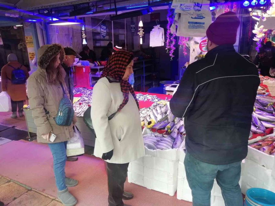 Ucuzlayan Hamsinin Fiyatı Tekrar Yükseldi