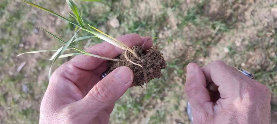 14 İlçede Eş Zamanlı Tarımsal Kuraklık Kontrolü