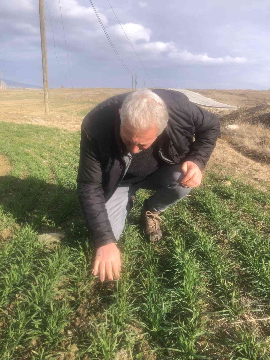 14 İlçede Eş Zamanlı Tarımsal Kuraklık Kontrolü