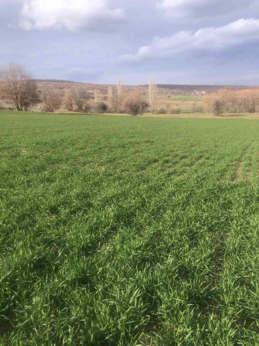 14 İlçede Eş Zamanlı Tarımsal Kuraklık Kontrolü