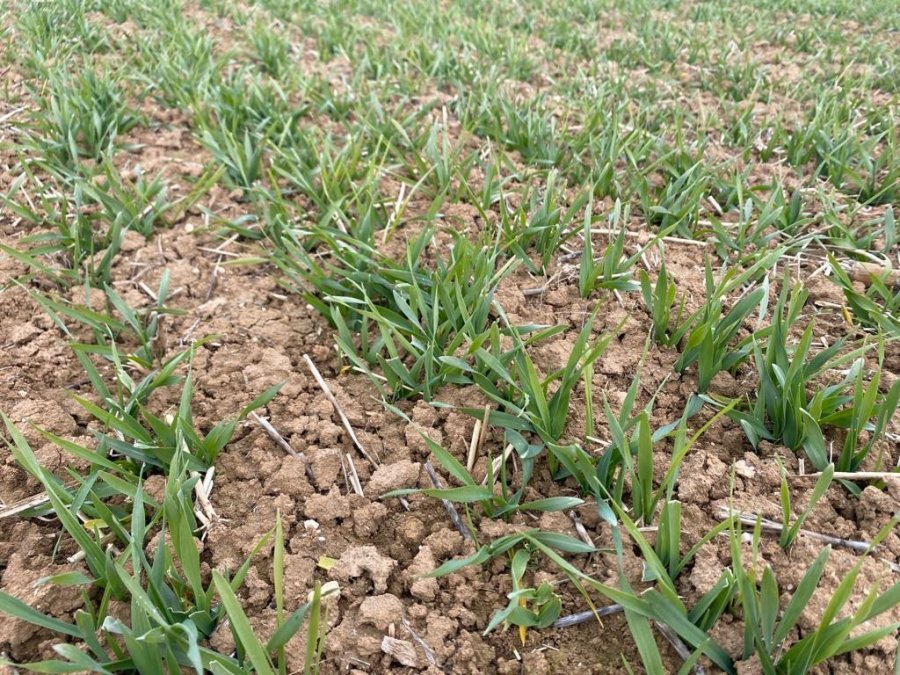 14 İlçede Eş Zamanlı Tarımsal Kuraklık Kontrolü