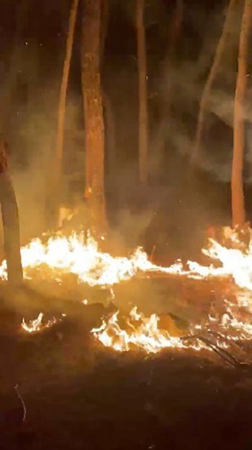 Sorgun Çamlığı’nda Orman Yangını Büyümeden Söndürüldü