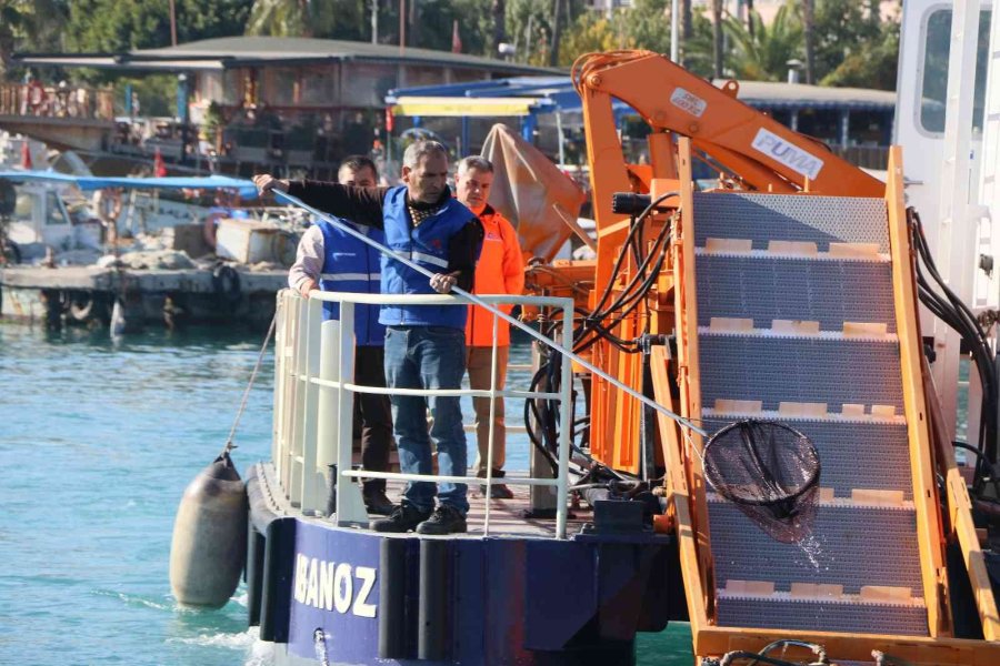Akdeniz’in İki Noktasından 20 Kamyon Çöp Çıktı