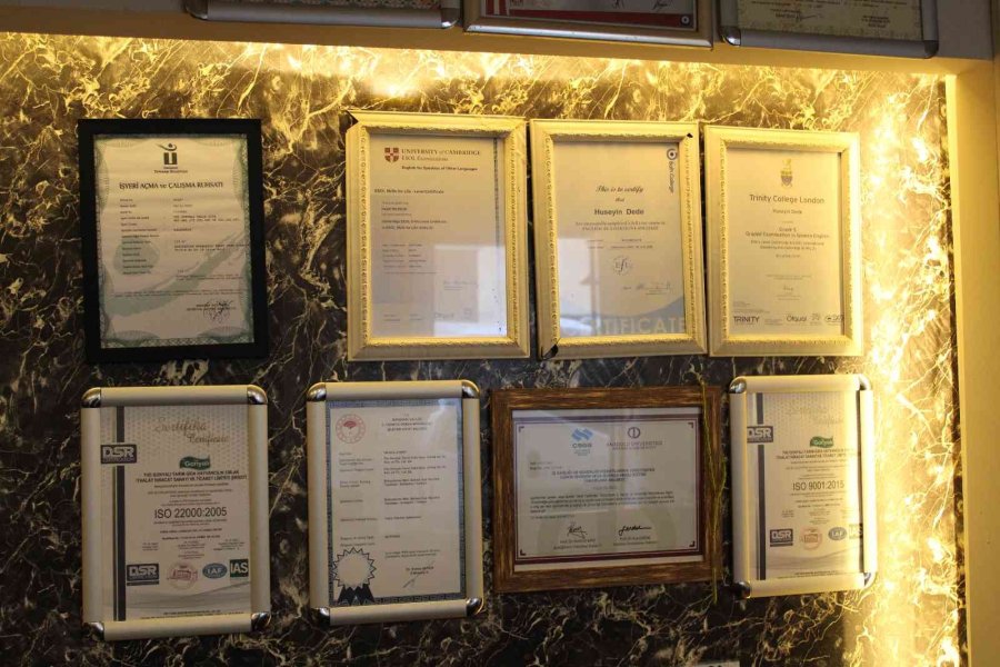 Cambridge Sertifikalı Pizzacı