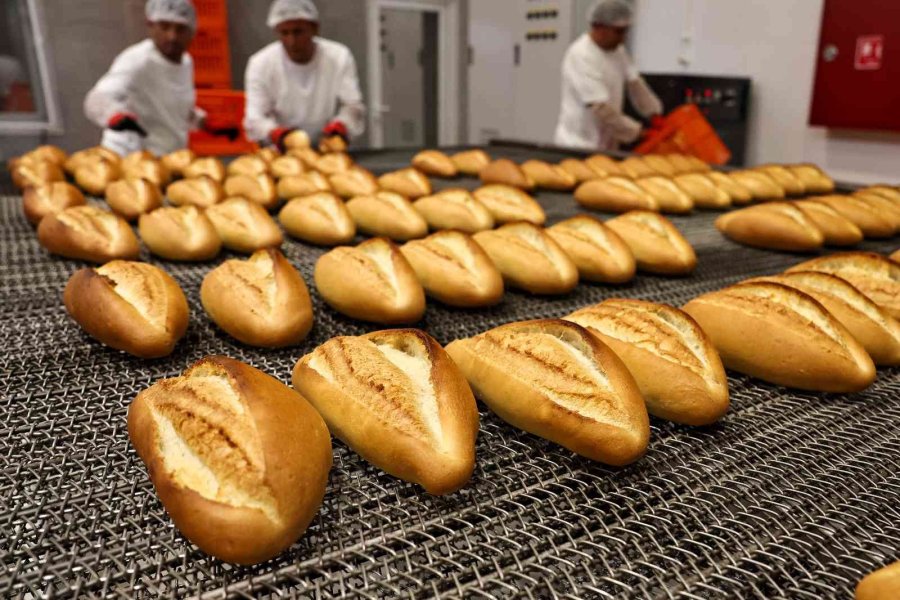 Büyükşehir Halk Ekmek Fabrikası 6 Ayda 6 Milyon Ekmek Üretti