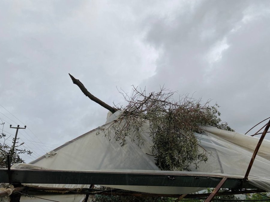 Antalya’da Hortum Domates Ve Çilek Seralarını Parçaladı