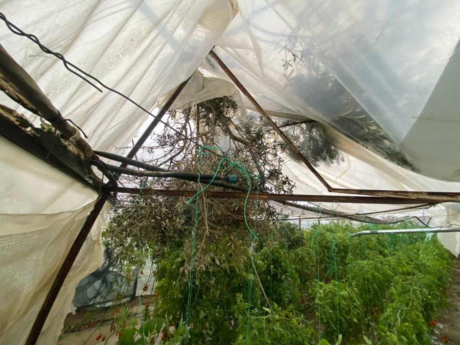 Antalya’da Hortum Domates Ve Çilek Seralarını Parçaladı