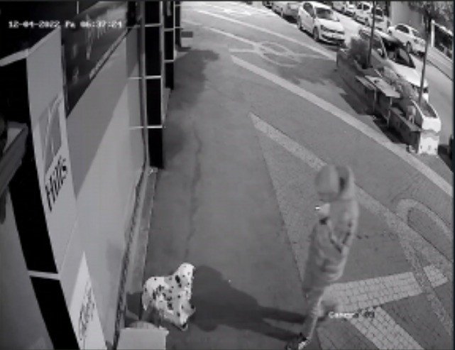 İş Yerinin Önündeki 25 Liralık Köpek Maketlerini Çaldılar
