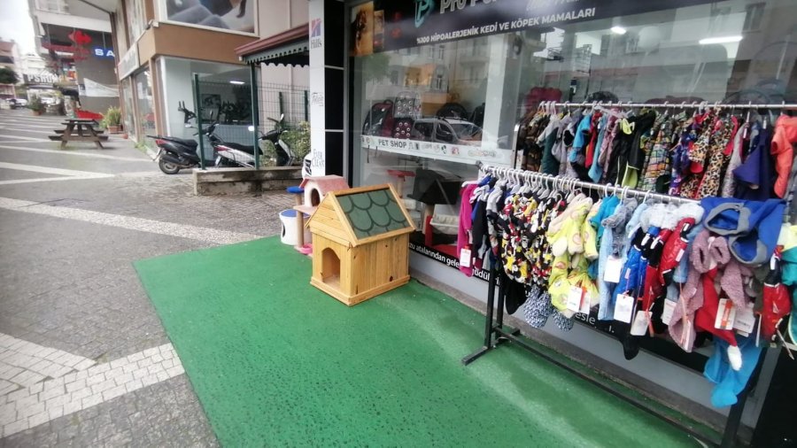 İş Yerinin Önündeki 25 Liralık Köpek Maketlerini Çaldılar