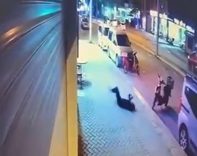 Pencereden Düşerek Hayatını Kaybeden Kadınla İlgili Olay Yerinde Keşif Yapıldı