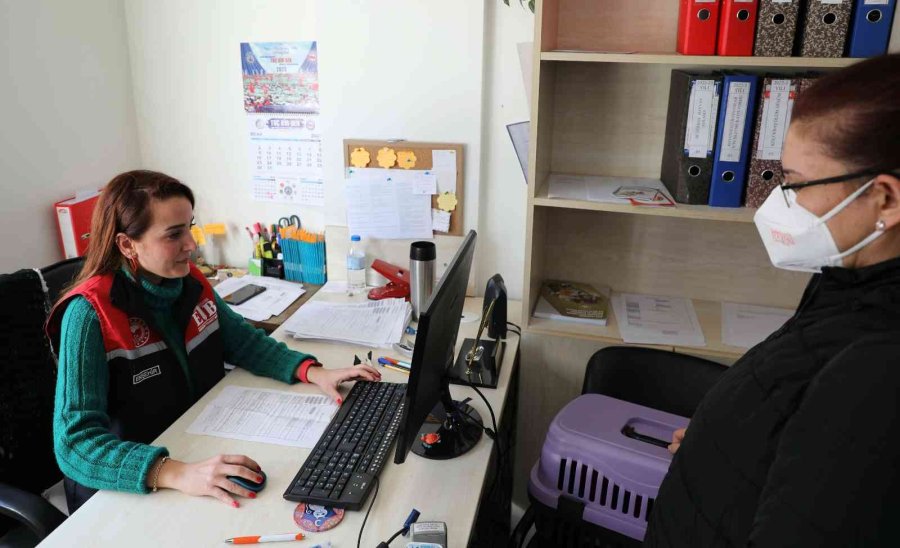 Eskişehir’de 25 Bin 125 Kedi Ve Köpeğe Mikroçip Takıldı