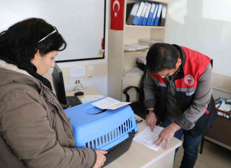 Eskişehir’de 25 Bin 125 Kedi Ve Köpeğe Mikroçip Takıldı