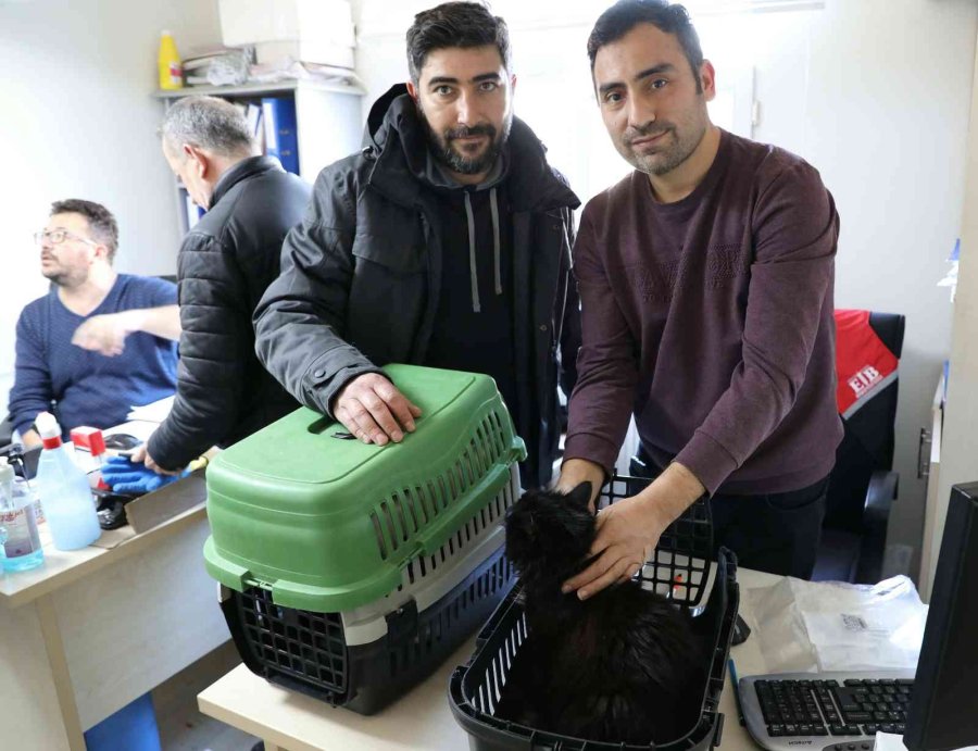 Eskişehir’de 25 Bin 125 Kedi Ve Köpeğe Mikroçip Takıldı