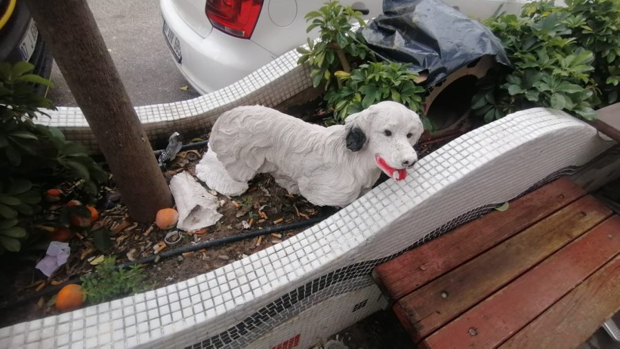 İş Yerinin Önündeki 25 Liralık Köpek Maketlerini Çaldılar
