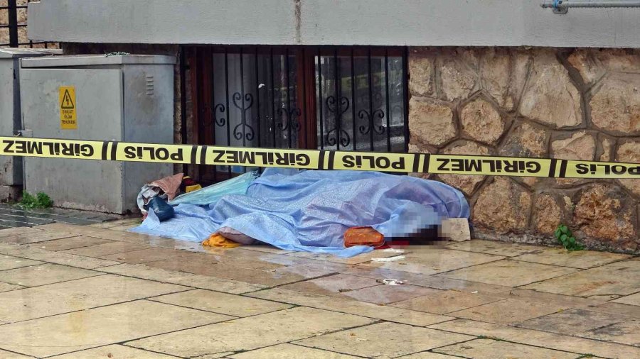 4 Dakikada Olay Yerine Giden Polis Kamera Kayıtlarını İnceleyince Üzüntü Yaşadı