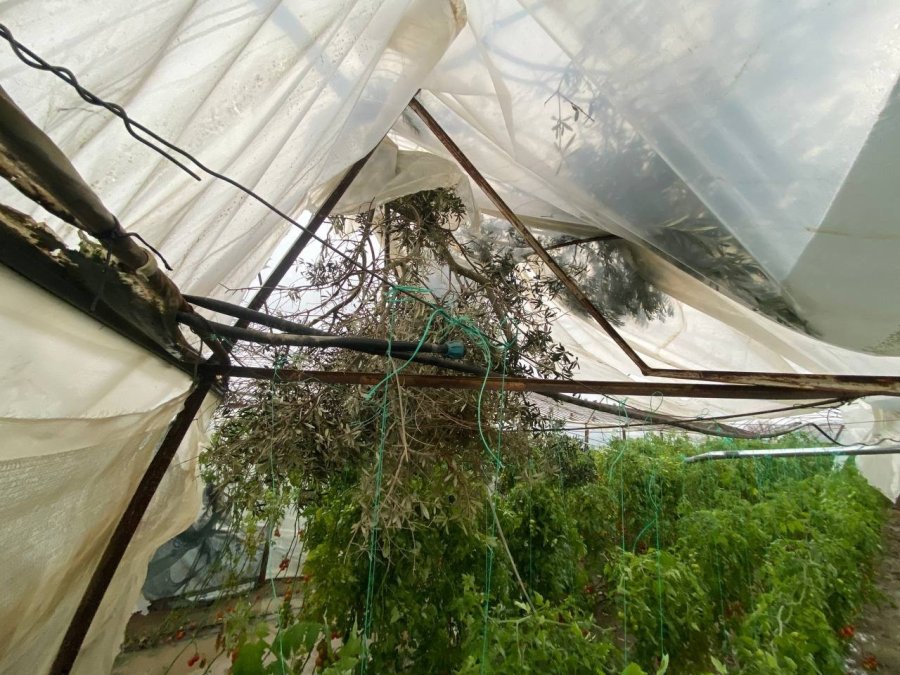 Aksu’da Fırtına Ve Dolu Sebebiyle 95 Dekar Sera Alanı Zarar Gördü