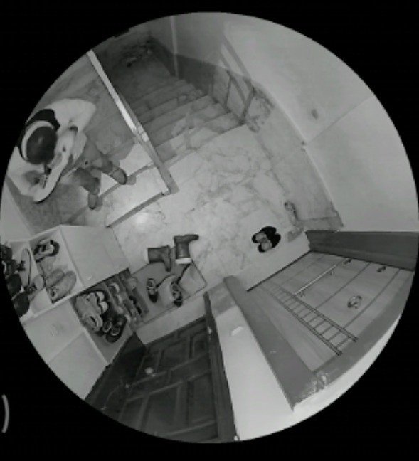 Ayakkabıları Önce Numarasına Bakıp Sonra Koklayarak Çaldı