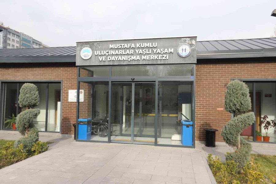 Büyükşehirin Merkezi, Ulu Çınarların İkinci Yuvası Oldu