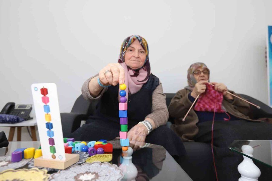 Büyükşehirin Merkezi, Ulu Çınarların İkinci Yuvası Oldu