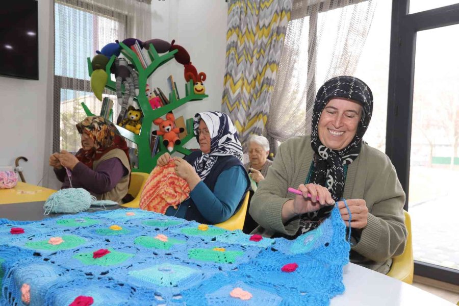 Büyükşehirin Merkezi, Ulu Çınarların İkinci Yuvası Oldu