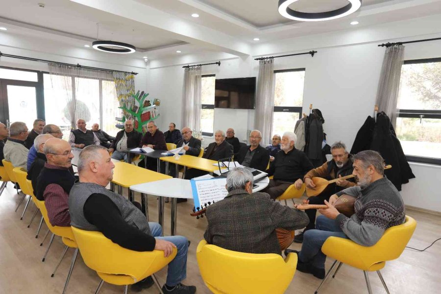 Büyükşehirin Merkezi, Ulu Çınarların İkinci Yuvası Oldu