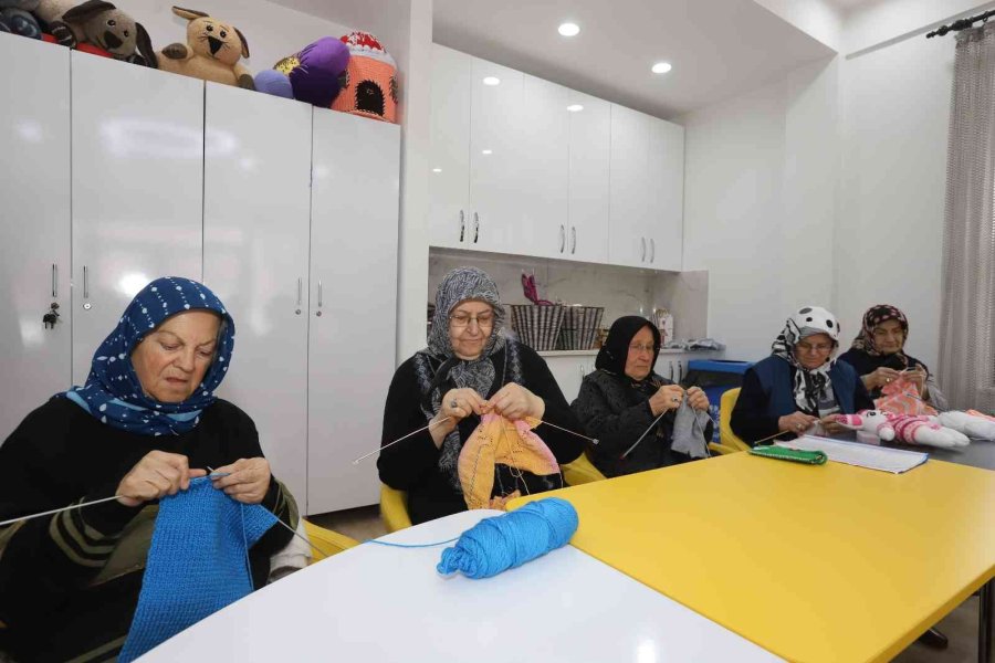 Büyükşehirin Merkezi, Ulu Çınarların İkinci Yuvası Oldu