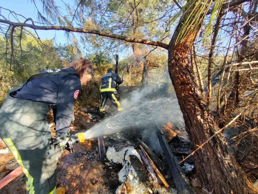 Antalya’da Baraka Yangını Büyümeden Söndürüldü