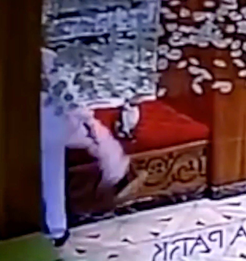 Kendi Halindeki Kediye Tekme Attı