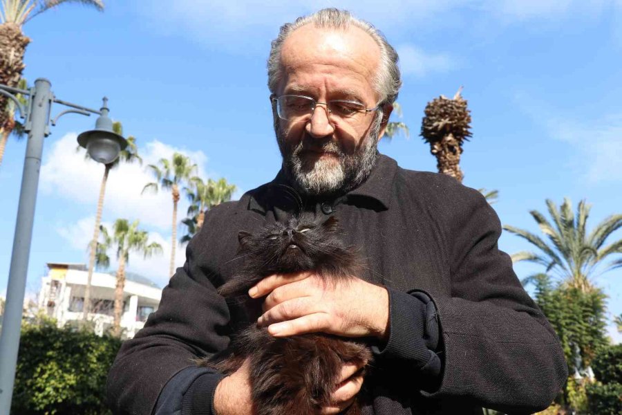 Kendi Halindeki Kediye Tekme Attı