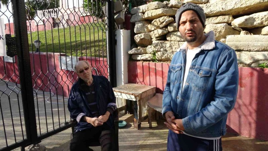 Sokak Köpeklerini Besleyen Alman Vatandaşından, Köpeklerin Verdiği Zarar İçin Örnek Davranış