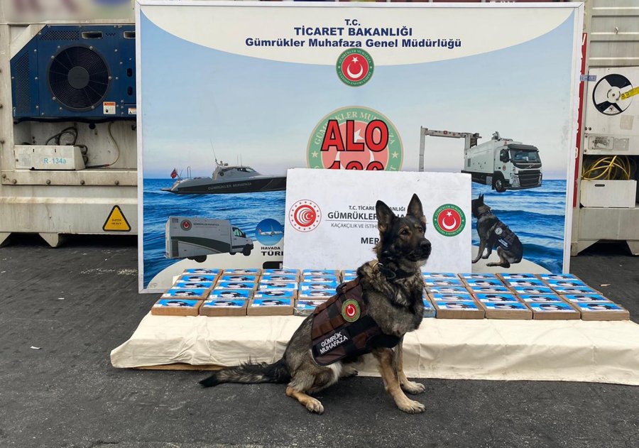 Mersin Limanı’nda 56 Kilo Kokain Ele Geçirildi
