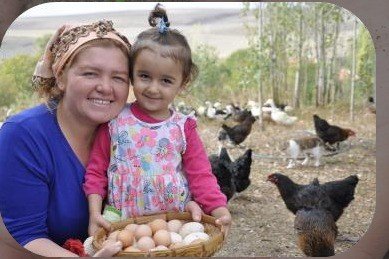 Uzman Eller Projesi Hibe Miktarı 250 Bin Liraya Yükseltildi