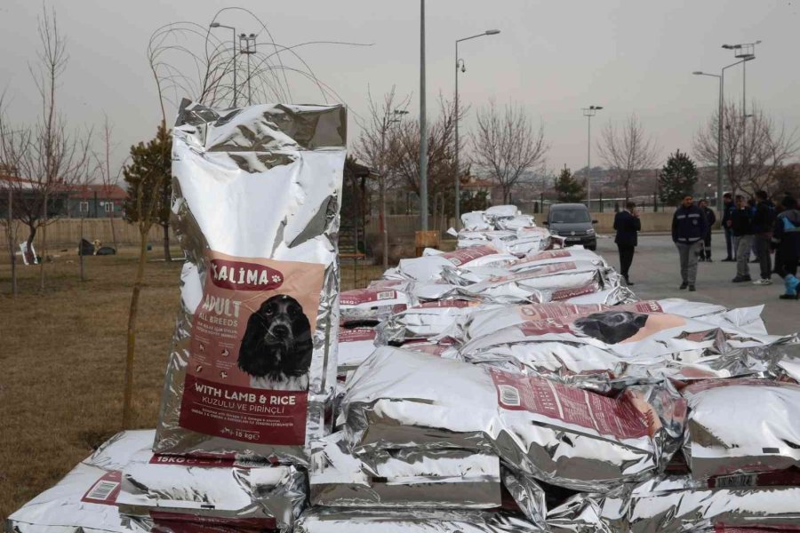 Büyükşehir, 1 Yılda 10 Bin Sokak Hayvanına Sahip Çıktı