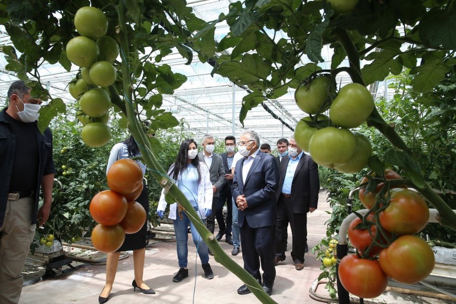 Büyükşehir, 1 Yılda 13 Milyon Kilogram Evsel Atığı Bertaraf Etti