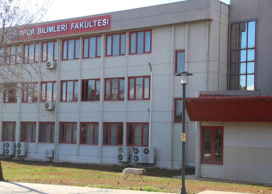 Rektörden, Kampüs İçinde Başıboş Köpek İsyanı