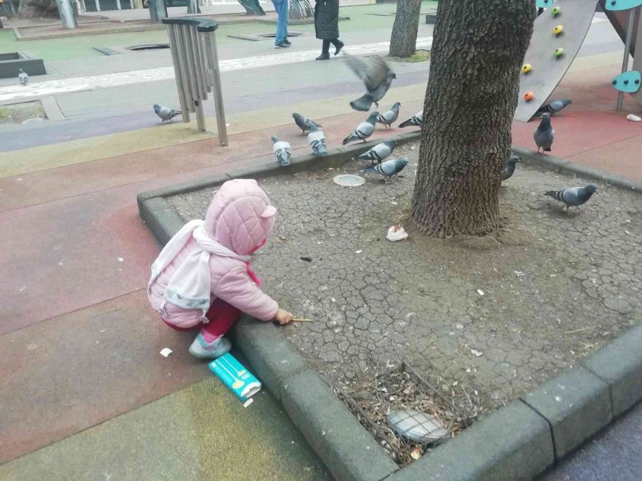 Elindeki Krakeri Güvercinlerle Paylaştı