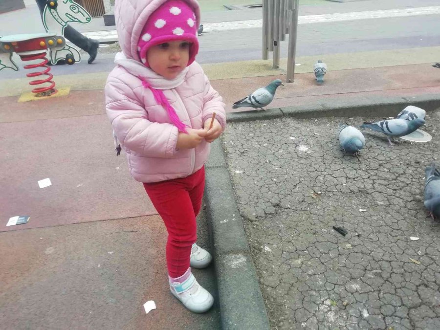 Elindeki Krakeri Güvercinlerle Paylaştı