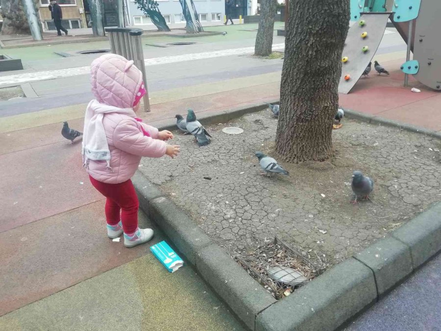 Elindeki Krakeri Güvercinlerle Paylaştı