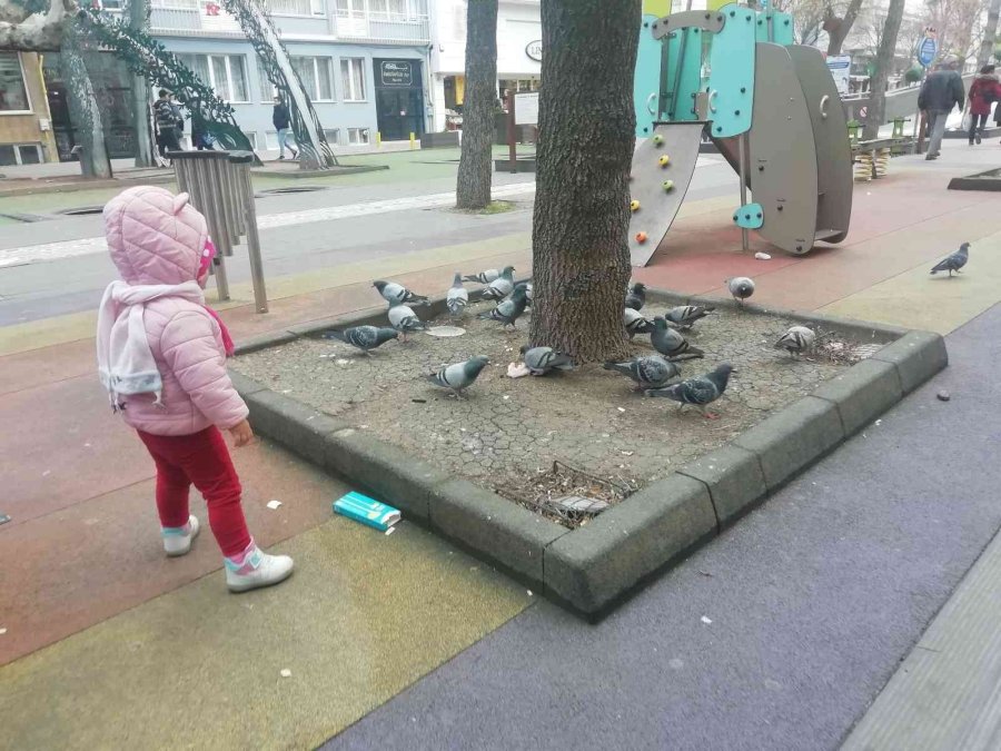 Elindeki Krakeri Güvercinlerle Paylaştı