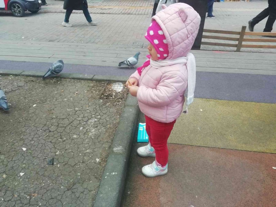 Elindeki Krakeri Güvercinlerle Paylaştı