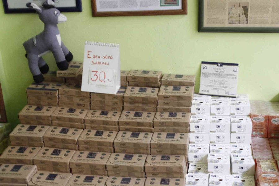 Sabunun Rengine Ve Kokusuna Aldanmayın