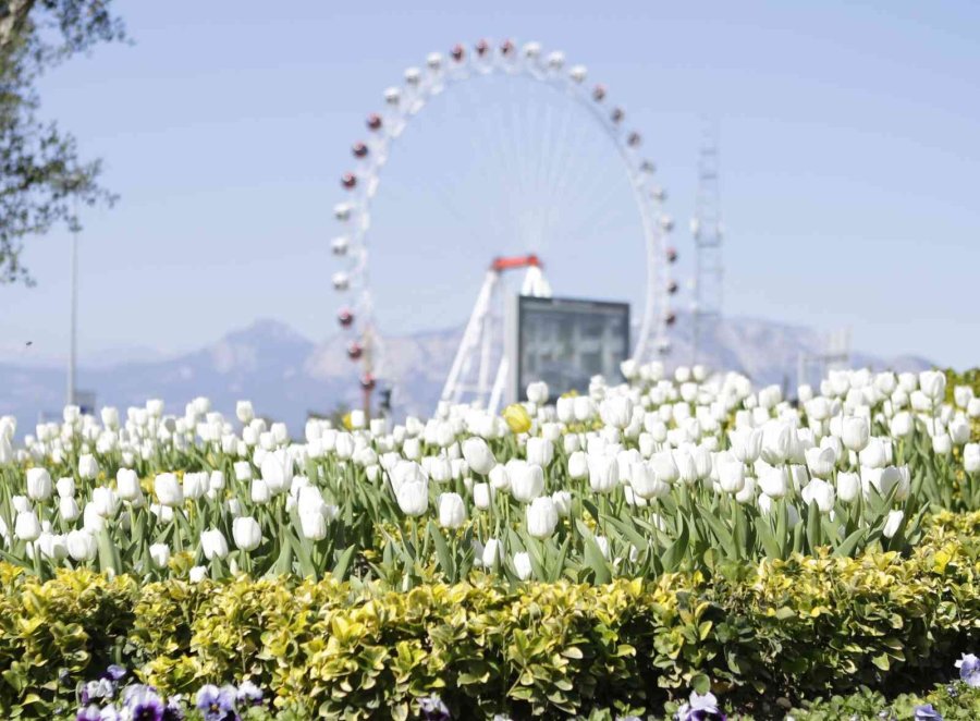 Antalya Büyükşehir Belediyesi, Hem Kendi Üretti Hem Tasarruf Etti
