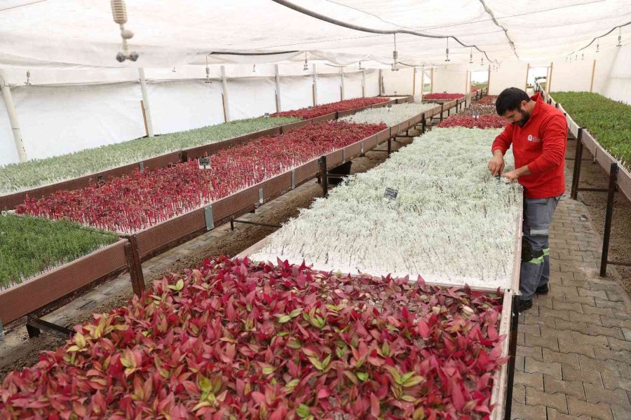 Antalya Büyükşehir Belediyesi, Hem Kendi Üretti Hem Tasarruf Etti