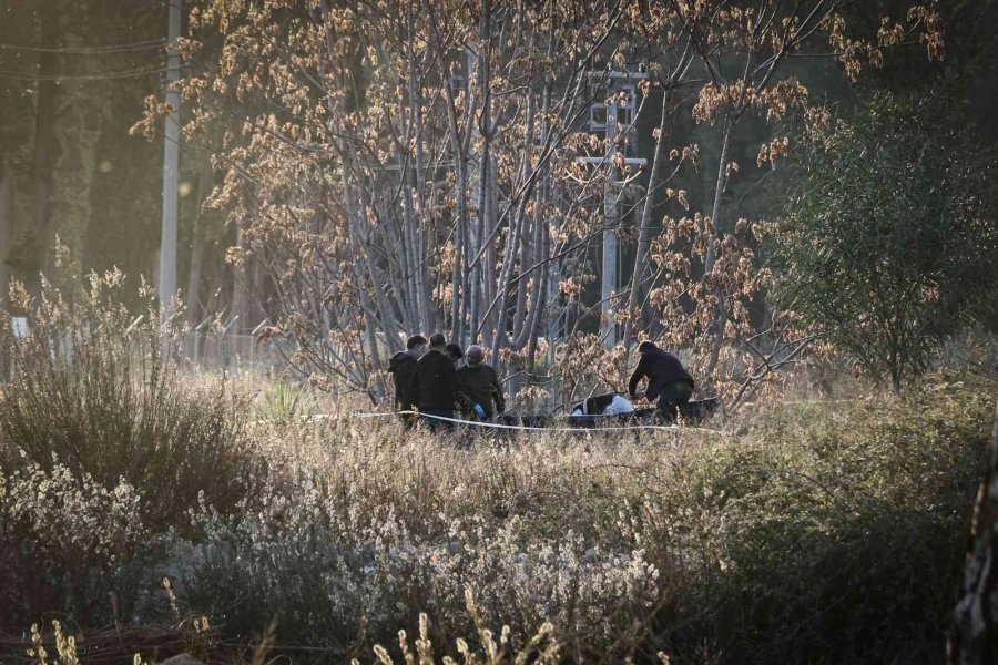 Ormanlık Alanda Bulunan Cesedin Kafası Ve Kolları ‘hassas Burunla’ Aranıyor