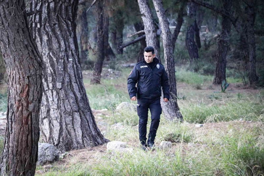 Ormanlık Alanda Bulunan Cesedin Kafası Ve Kolları ‘hassas Burunla’ Aranıyor