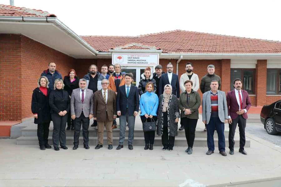 Eskişehir’de Geliştirilen Aspir Çeşitleri Çiftçi İle Buluşuyor