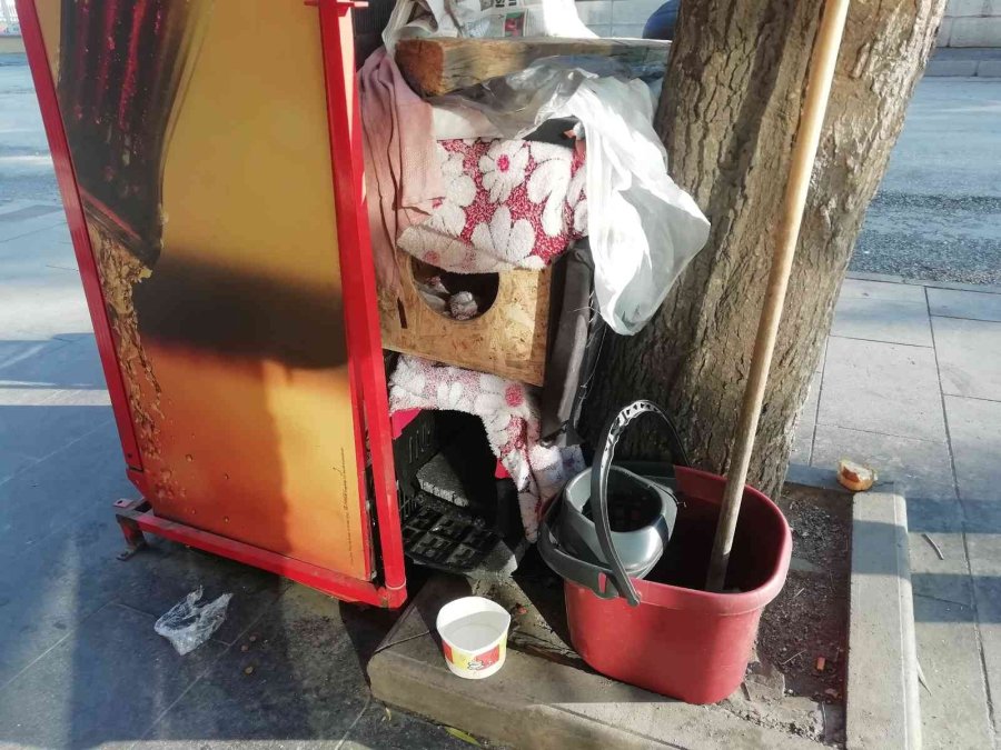 Yemek Bekleyen Sokak Köpeğini Geri Çevirmediler