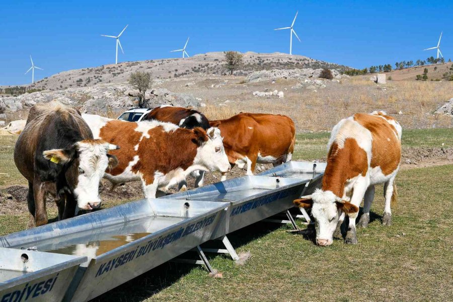 Başkan Büyükkılıç, 16 İlçeyi Hizmetle Buluşturdu