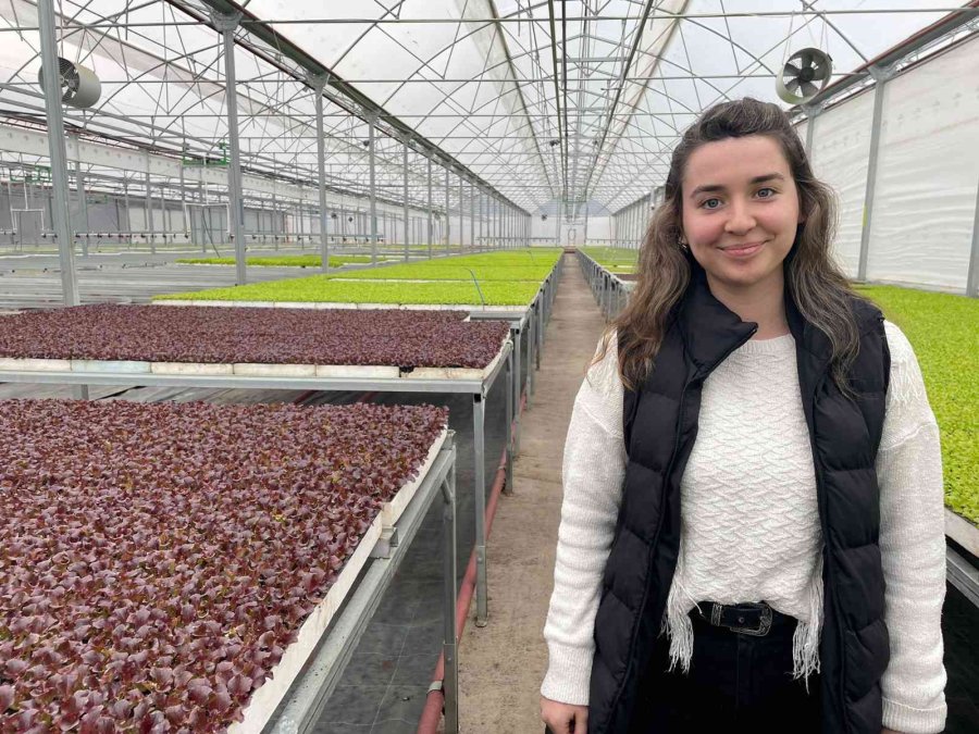 Eskişehir’in Akdeniz’inde Üretilen 20 Milyon Fide Ülke Geneline Satılıyor