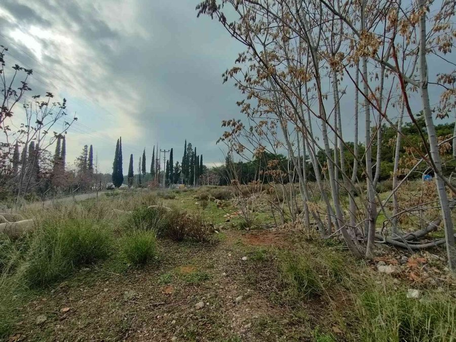 Kolları Ve Kafası Olmayan Ceset Gizemini Koruyor